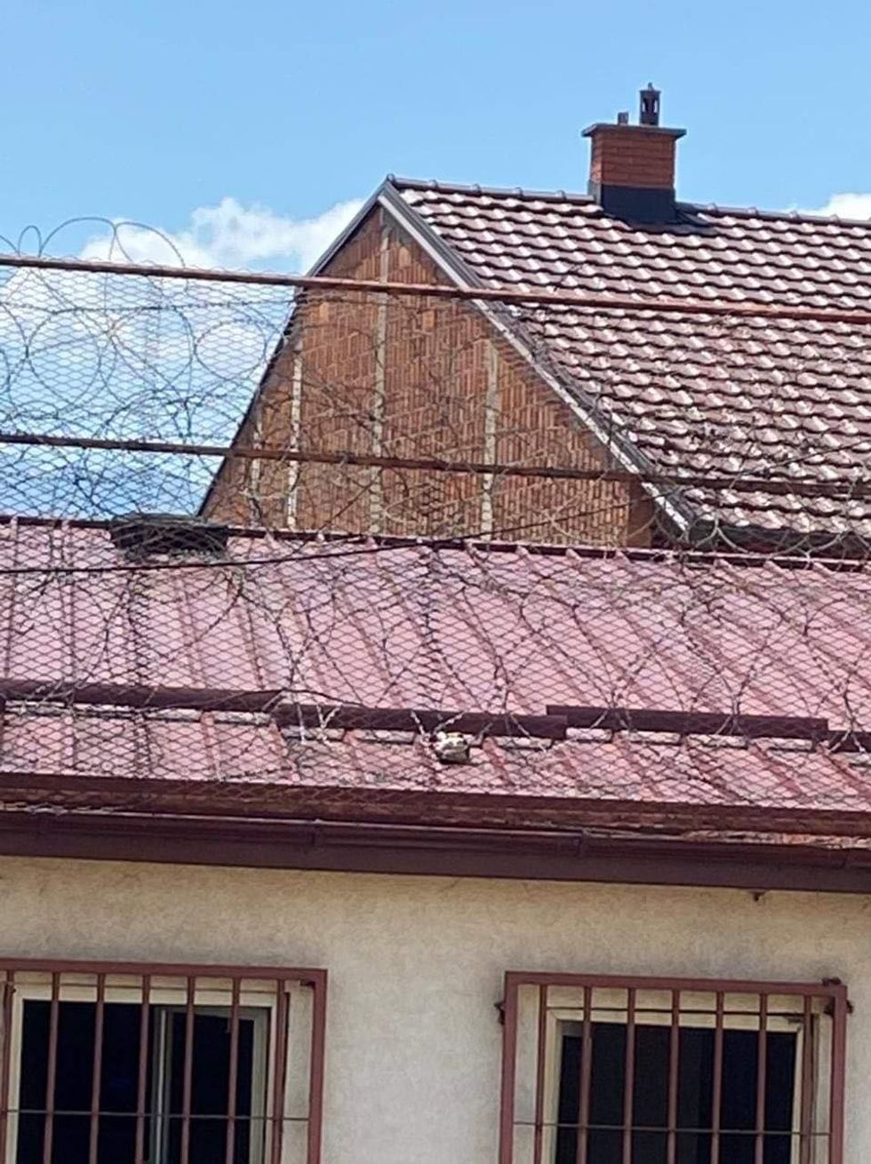 199375494 481611983103021 5289777757594653334 n