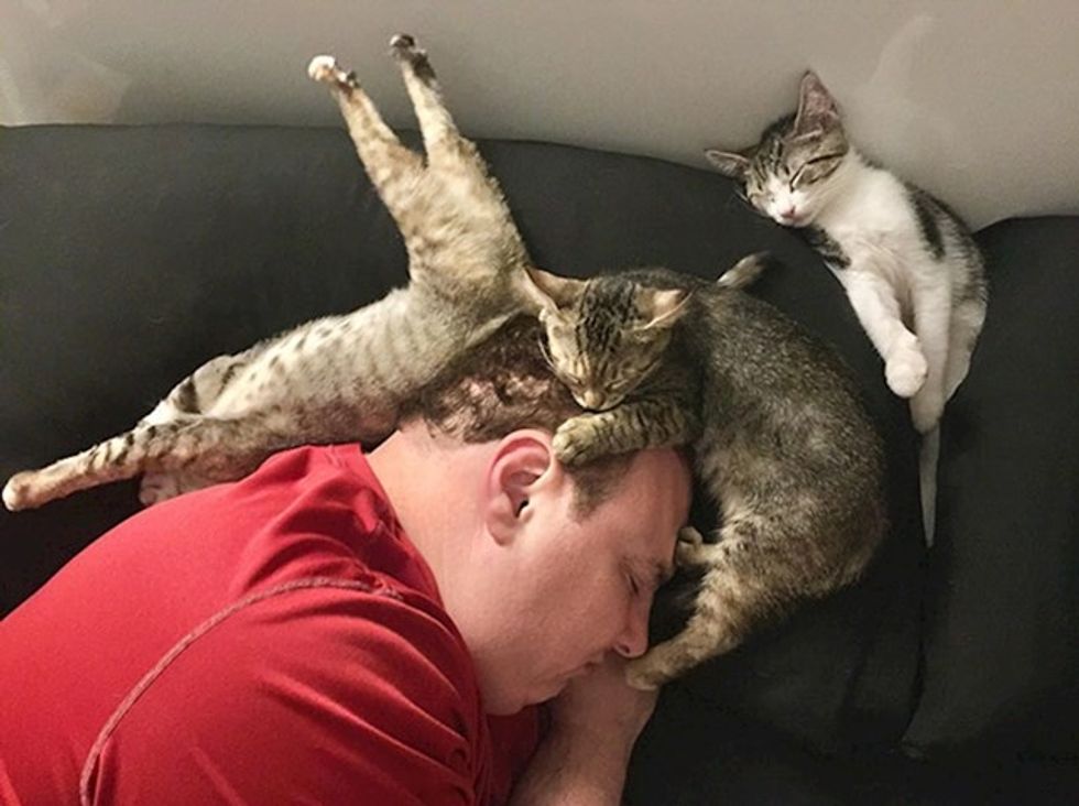 1ca61209 3bec 4021 9a76 e7667555a0d3