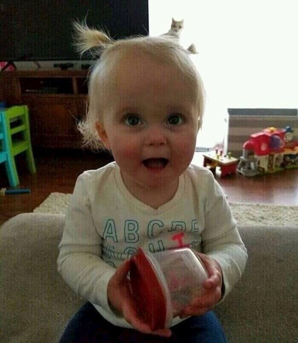 1d65c32c 2323 4865 b884 449da9724253