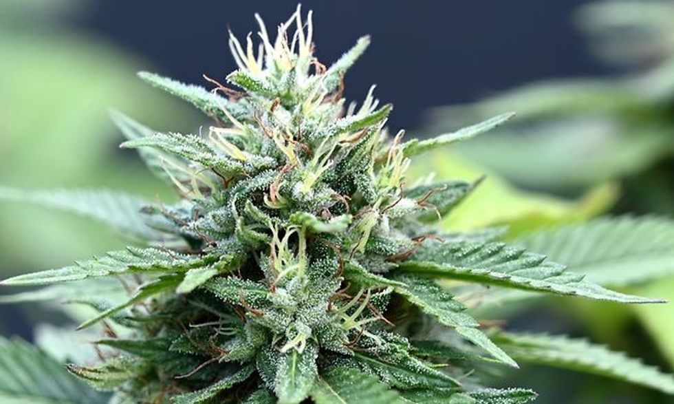 1ea4f902ac181b63d9da977a57c3e49725d1d953