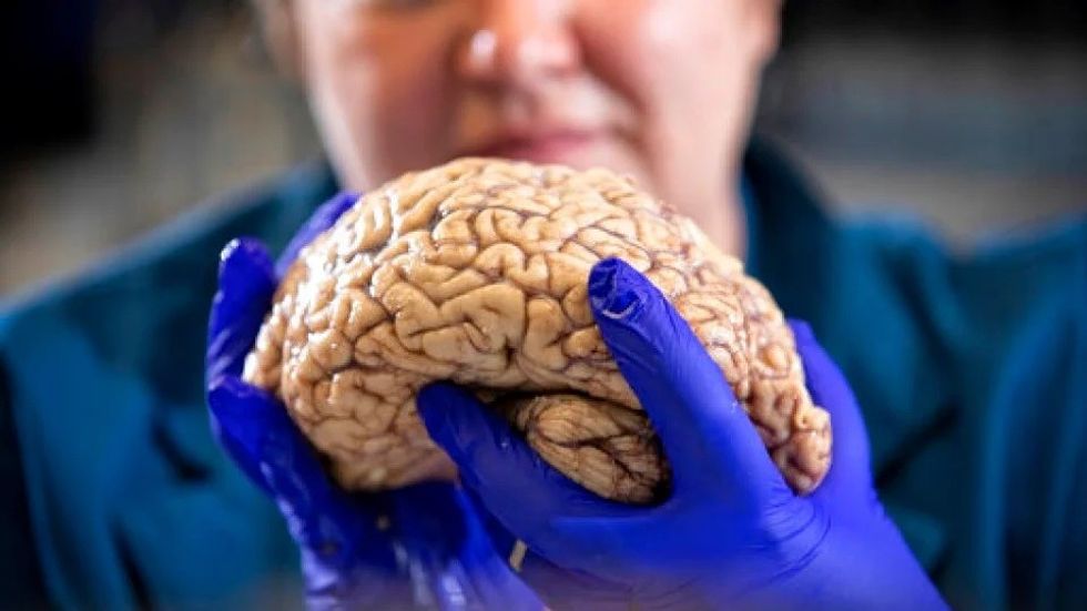 1fab7bb0eaca461dad5a9b3ee201511e