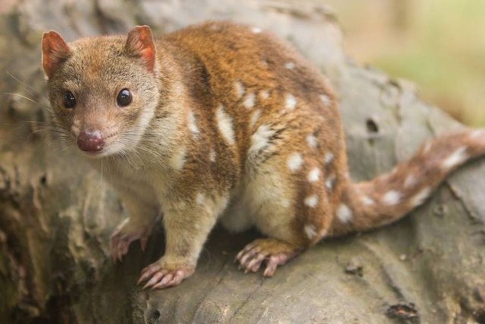 2 640 0 5ec68c4a1bddf