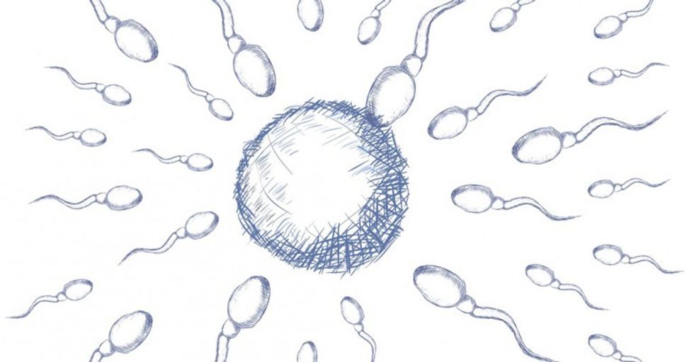 2 How can I improve my sperm quality