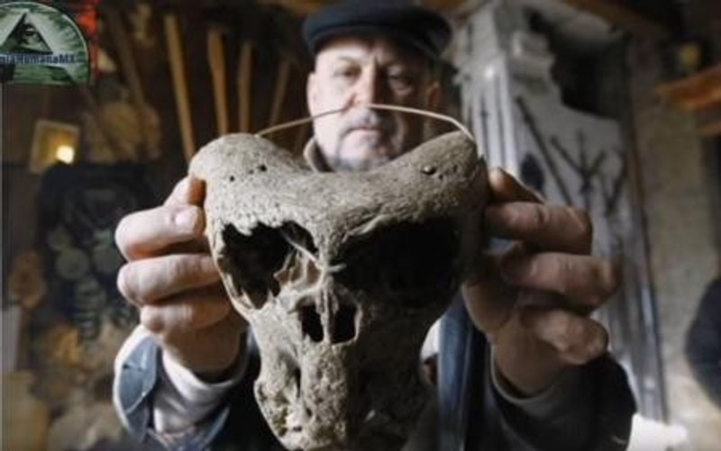 The Nazi chest is discovered, two extraterrestrial skulls are found (Photo)  - Telegraph