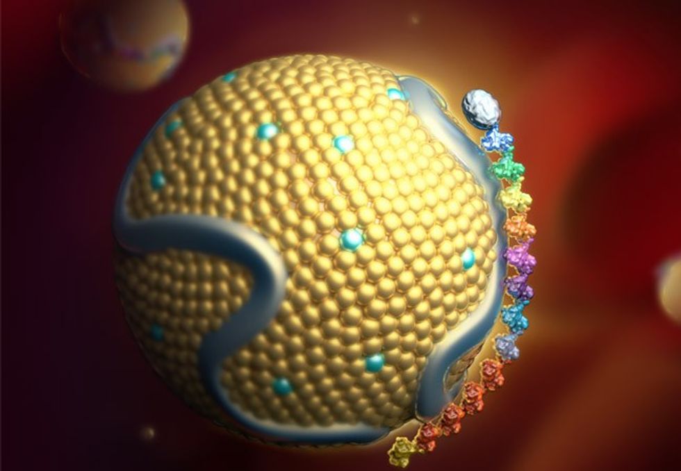 20 HRT 001 LPa CQD hero