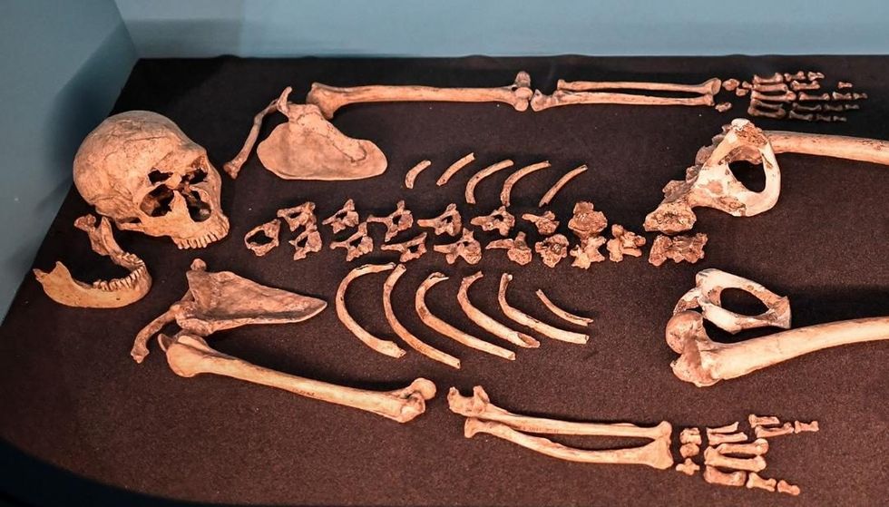 200930192715 neanderthal skeleton super tease e1601537109737