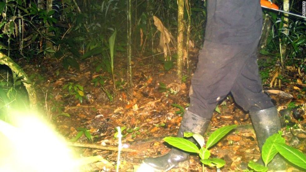 201001155453 07 pandemic biodiversity united nations exlarge 169