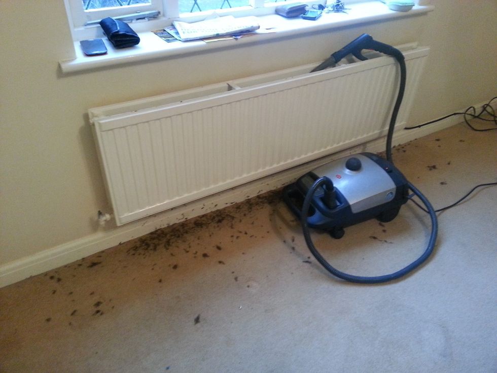 20130321 171654 scaled