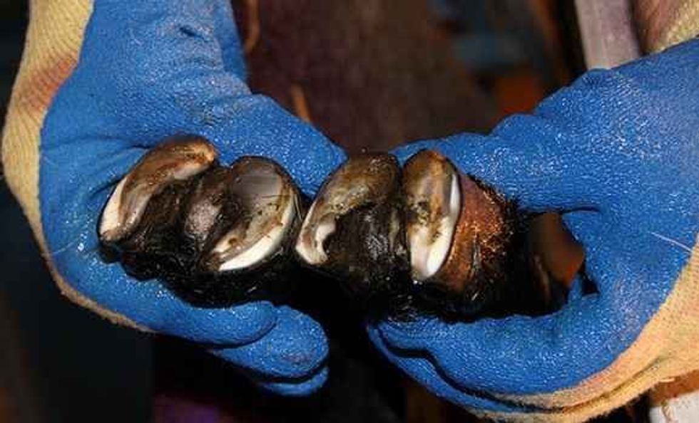 20140110234135186577