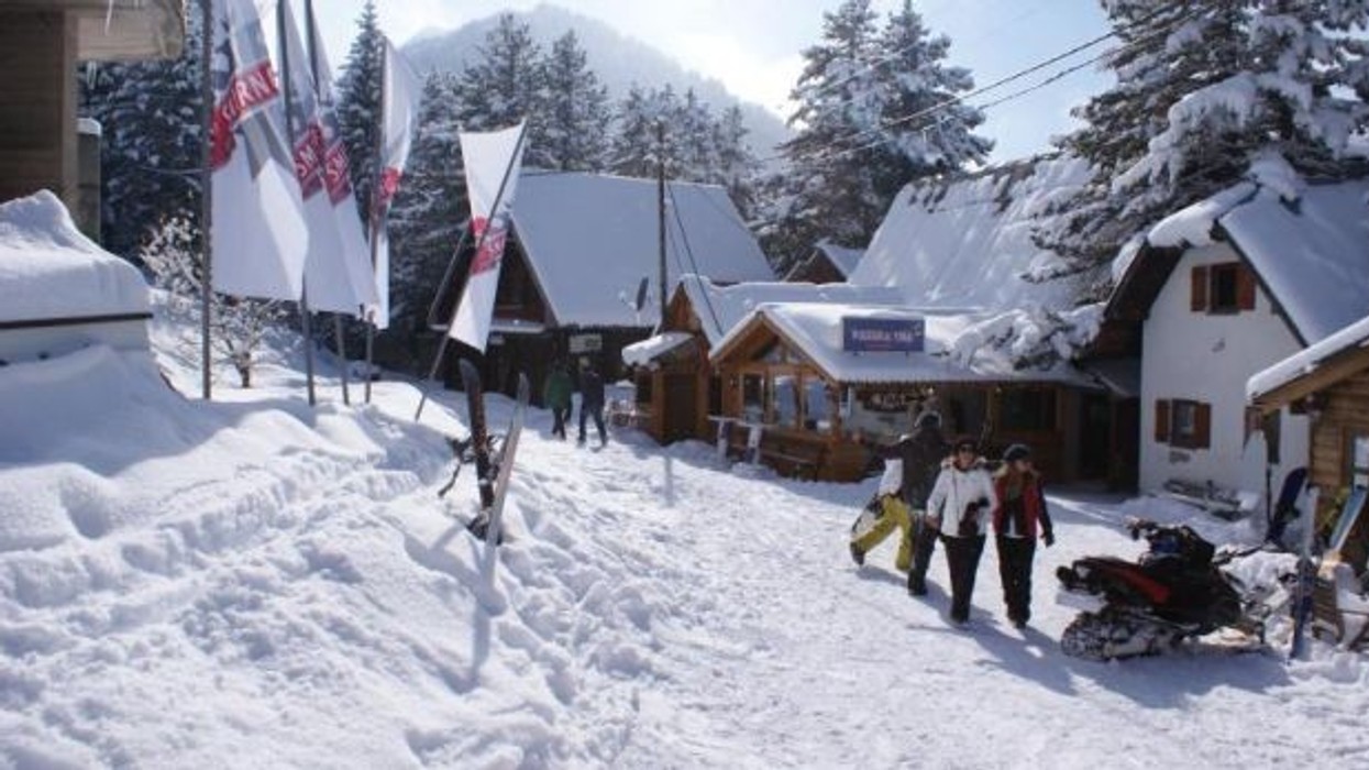 2016/01/brezovica.jpg