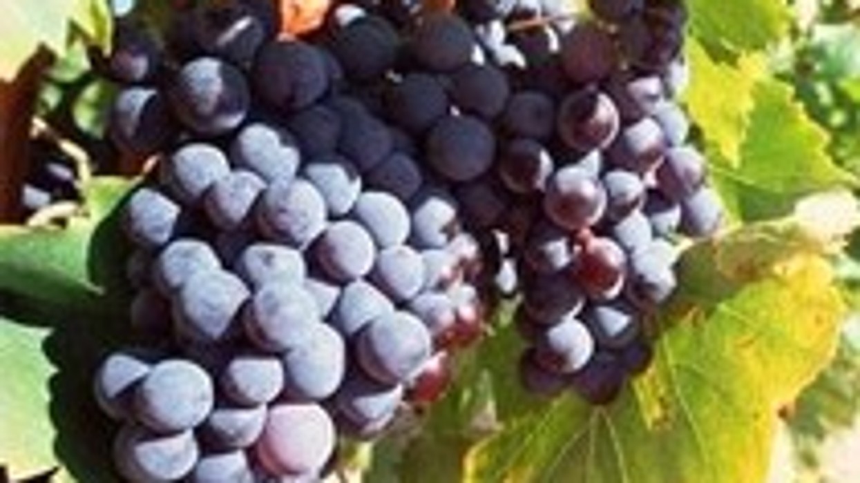 2016/01/f.0527064844580_m.jpg