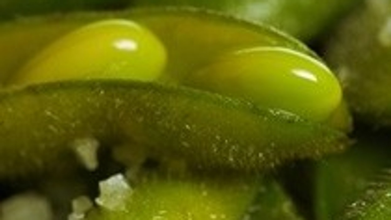 2016/01/f.0609014022806_m.jpg