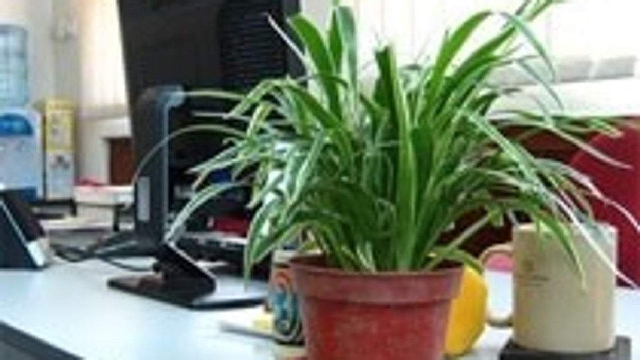 2016/01/f.0716171852867_m.jpg