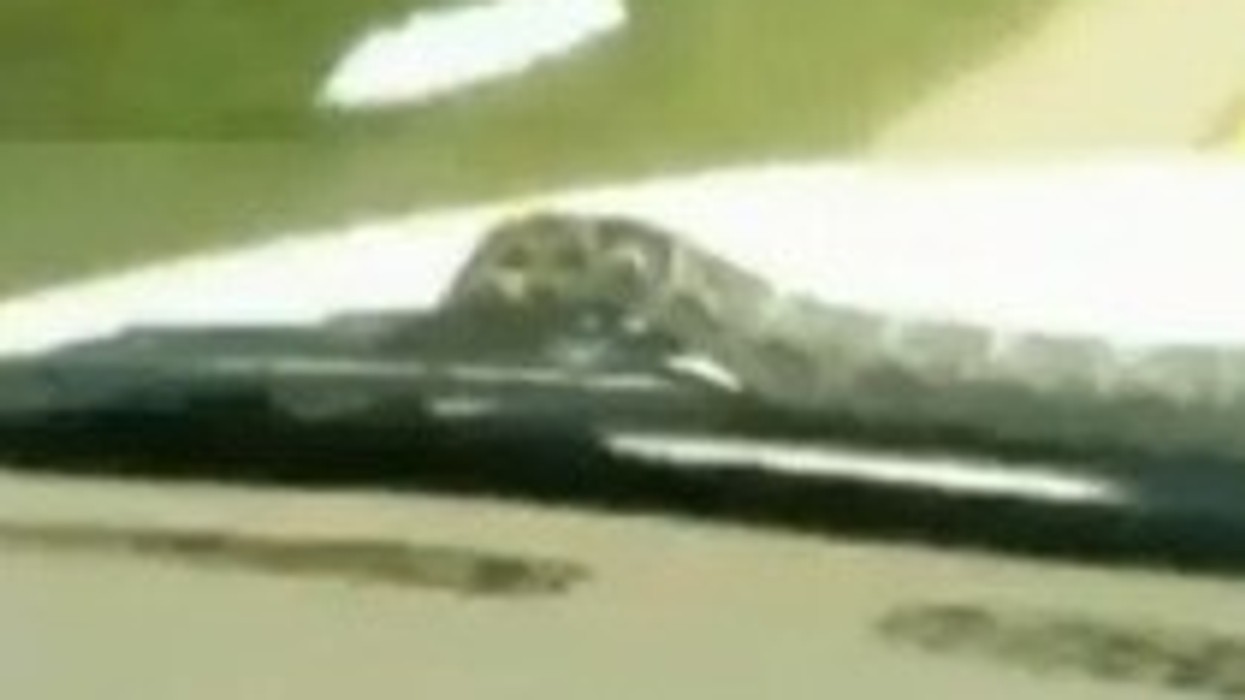2016/01/f.0802112301134_m.jpg