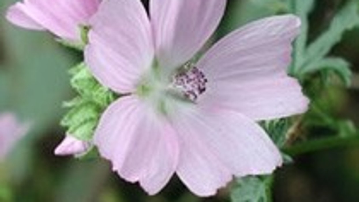 2016/01/f.0820090702441_m.jpg