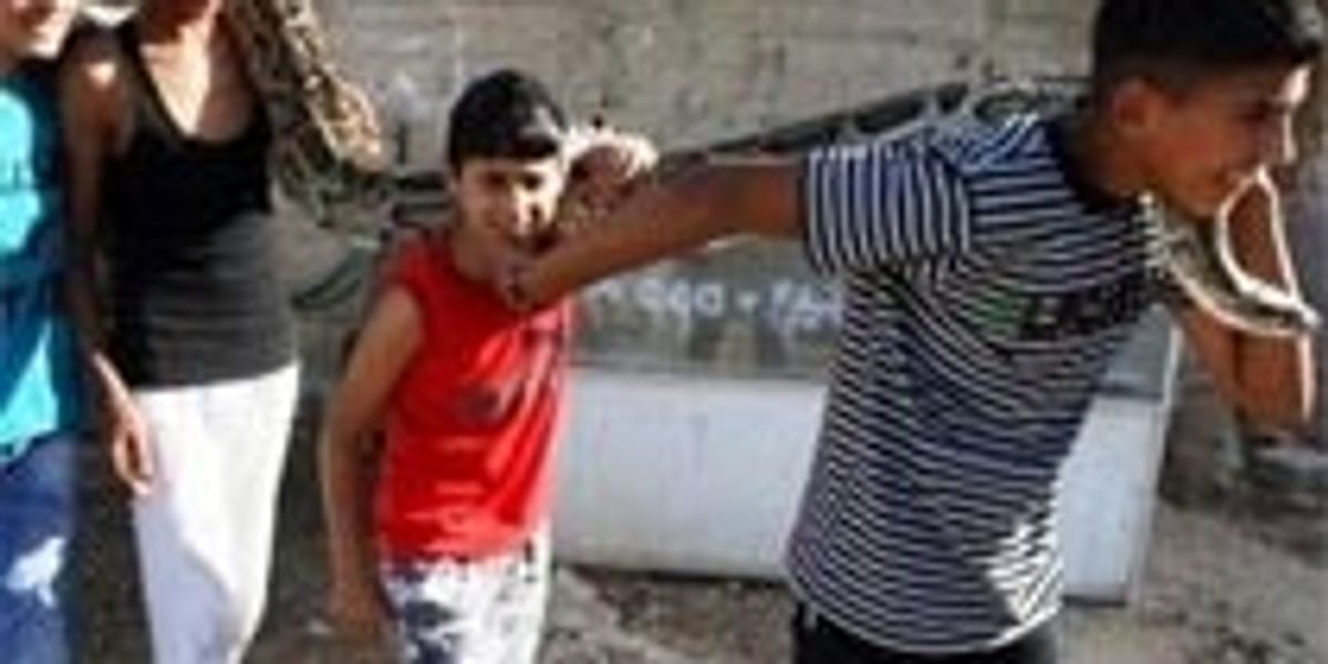 Palestinian family lives with pythons - Telegraph