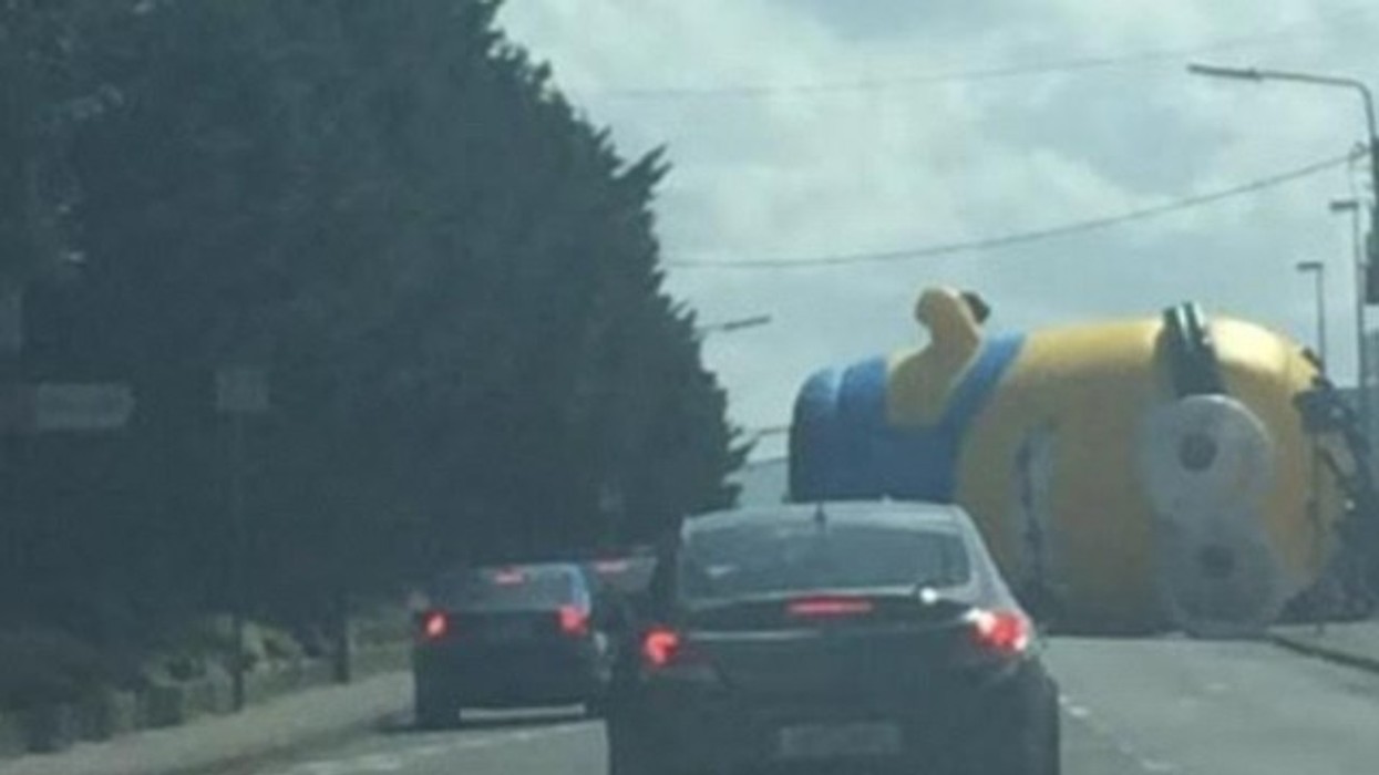 2016/01/kur-ldquo-minions-rdquo-b-euml-jn-euml-telashe-edhe-n-euml-jet-euml-reale_hd.jpg
