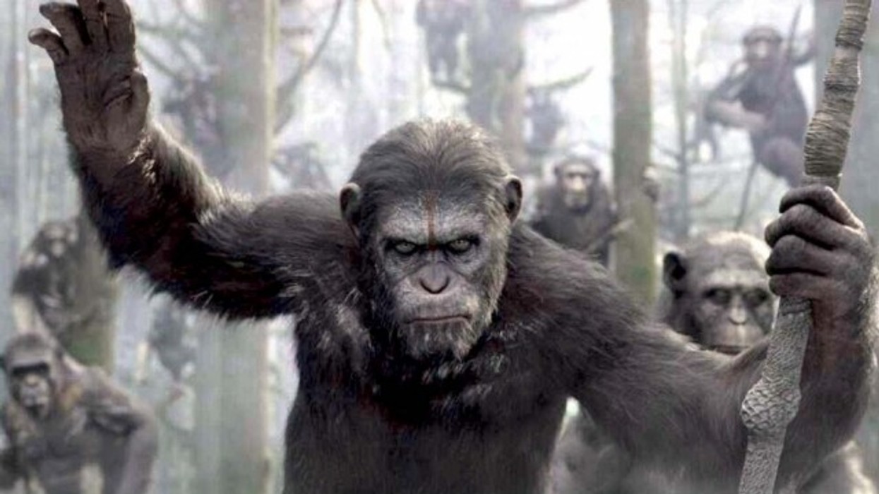 2016/01/ldquo-dawn-of-the-planet-of-the-apes-rdquo-filmi-m-euml-i-shikuar-video_hd.jpg