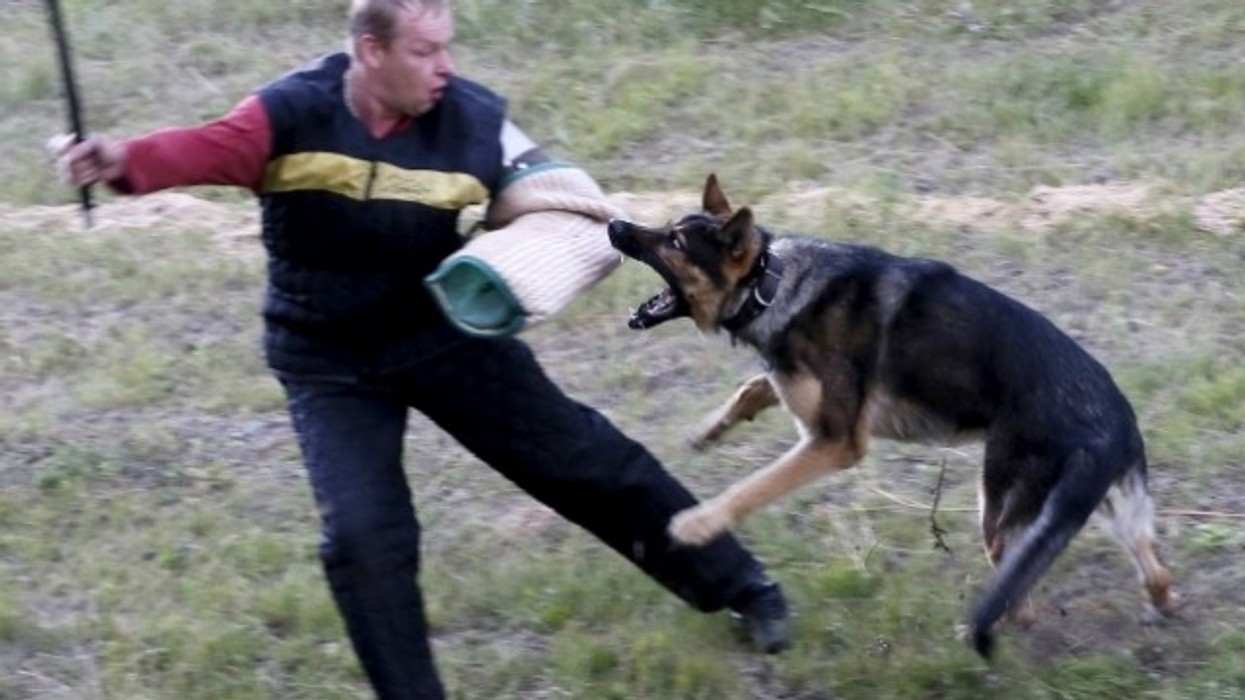 2016/01/qeni-zbulon-ikjen-e-t-euml-burgosurve_hd.jpg