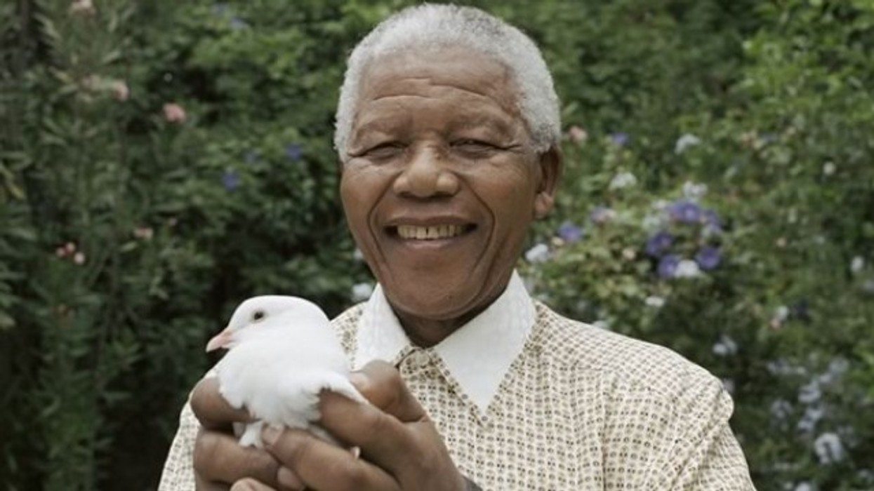 2016/01/vdiq-nelson-mandela-video_hd.jpg