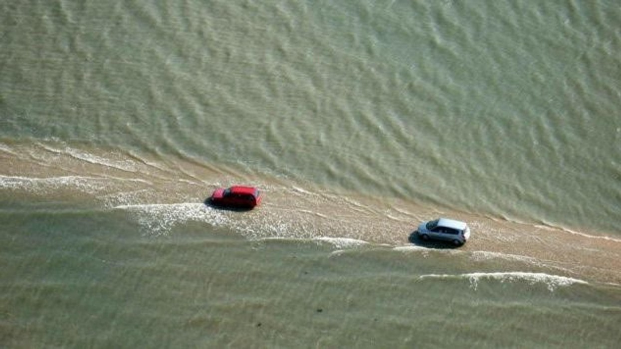 2016/03/Franca.jpg
