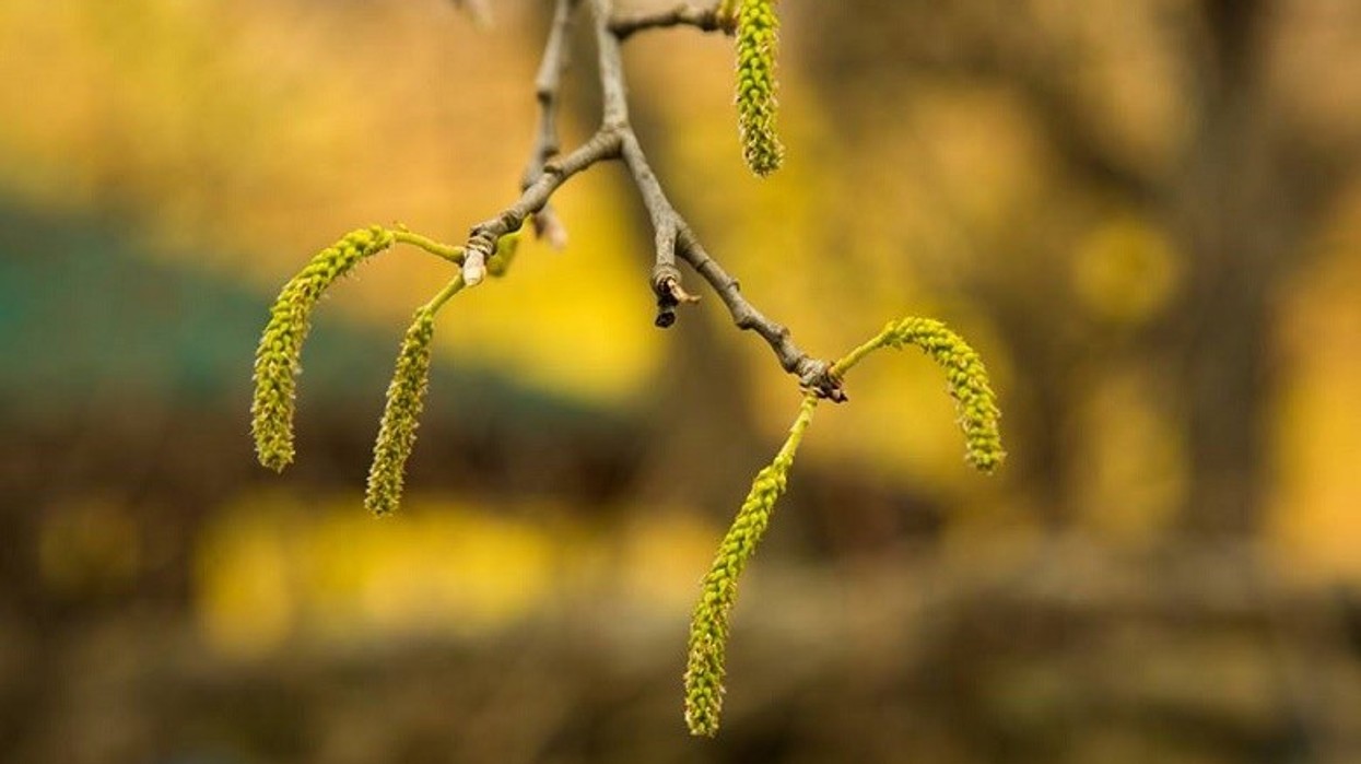 2016/03/Moti-ne-Maqedoni-28-mars-2016.jpg
