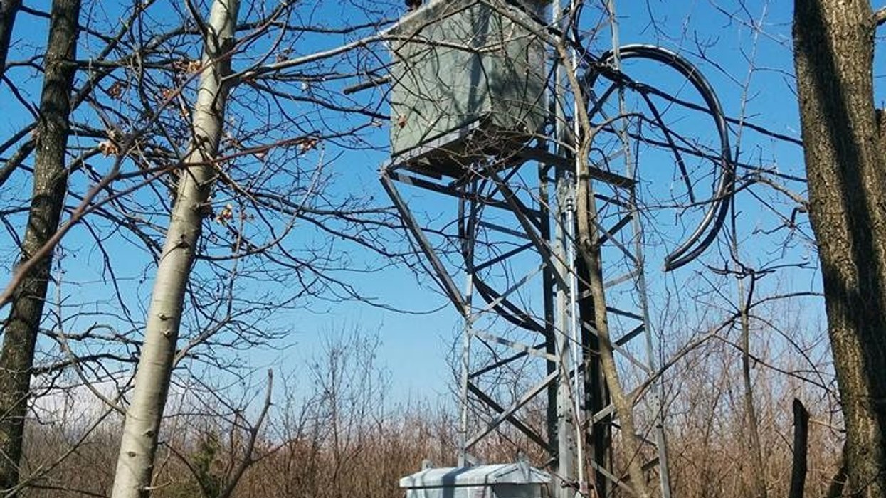 2016/03/zllopek-2.jpg