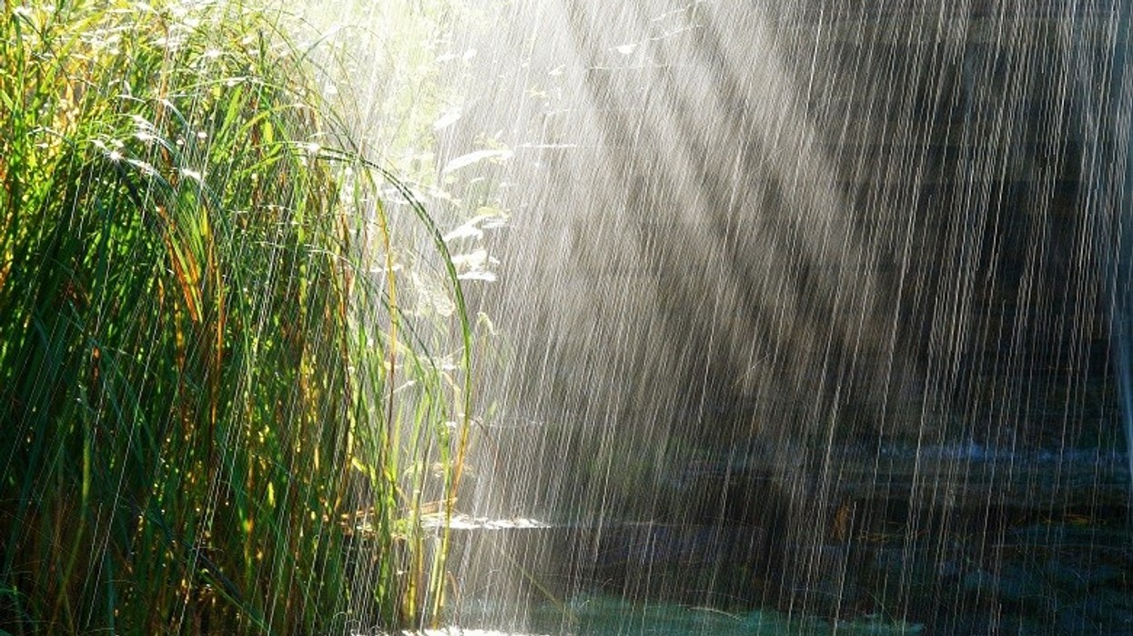 2016/05/Rainysunny.jpg