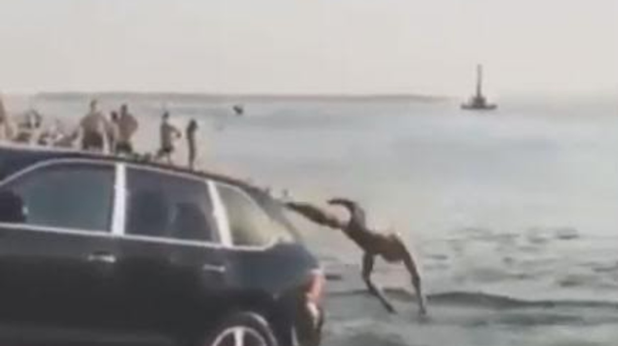 2016/07/Rreshqitesja.jpg