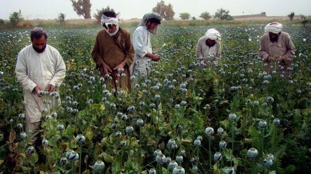 2016/10/afganistan.jpg