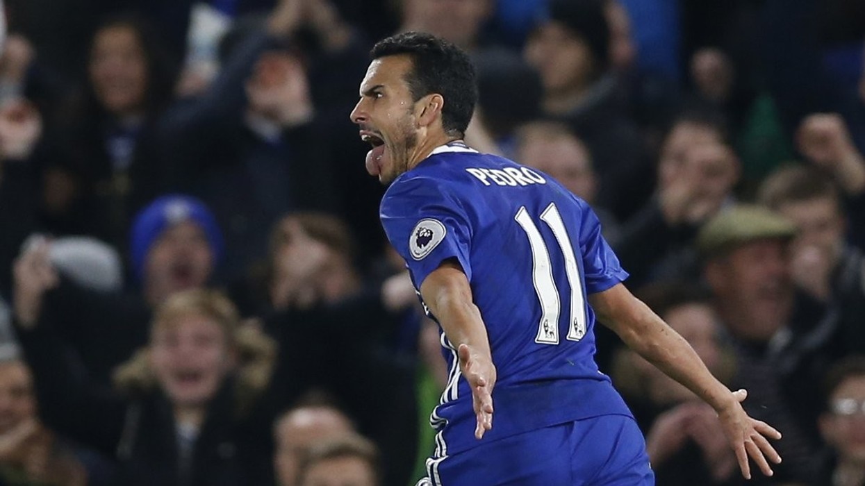 2016/11/pedro1.jpg