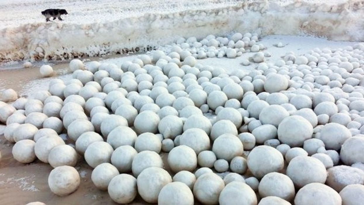 2016/11/Plazhi-mbushet-me-topa-gjigant-bore-të-formuara-në-mënyrë-misterioze-foto.jpg