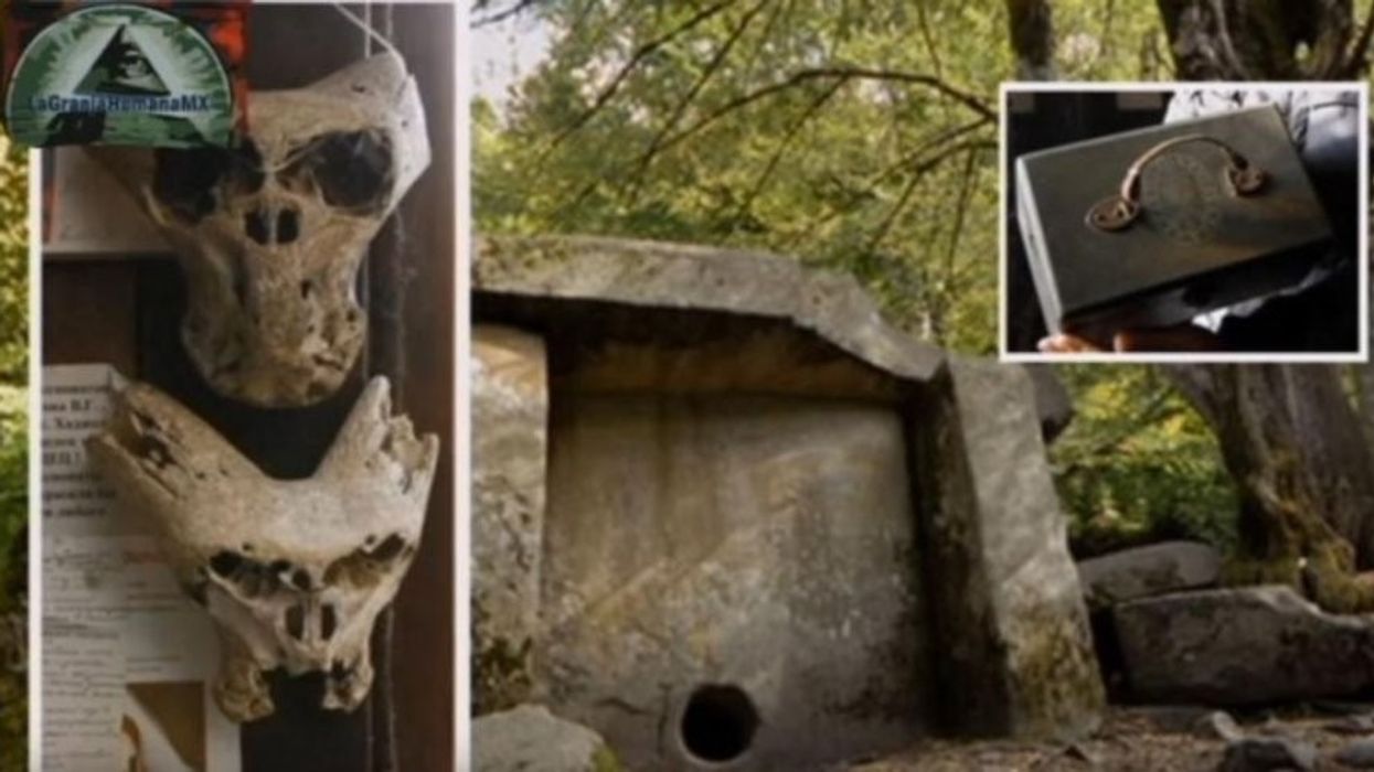 The Nazi chest is discovered, two extraterrestrial skulls are found (Photo) - Telegraph