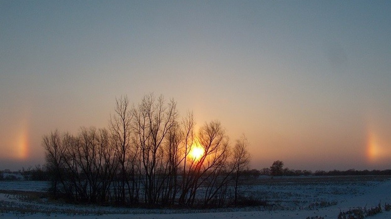 2017/02/Moti-3-shkurt-2017-1.jpg