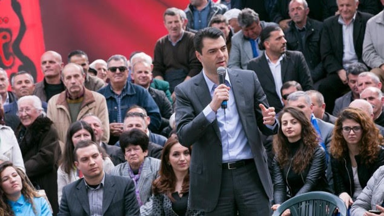 2017/03/basha-2.jpg