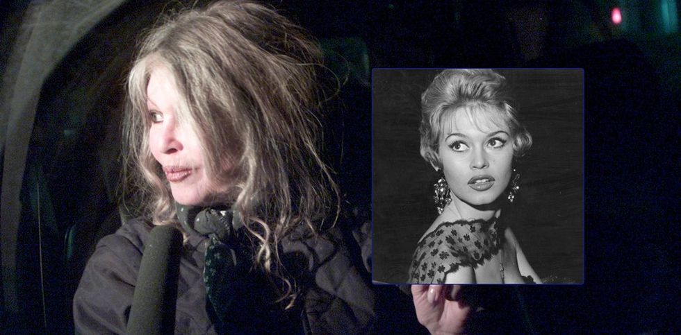 2018/01/Brigitte-Bardot-4-fk.jpg
