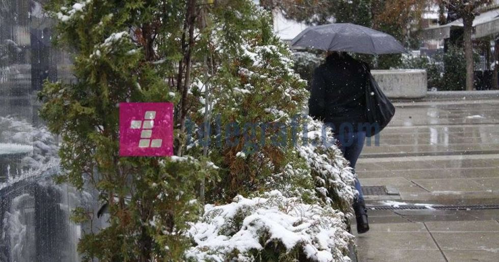2018/02/boree-1-1200x630.jpg