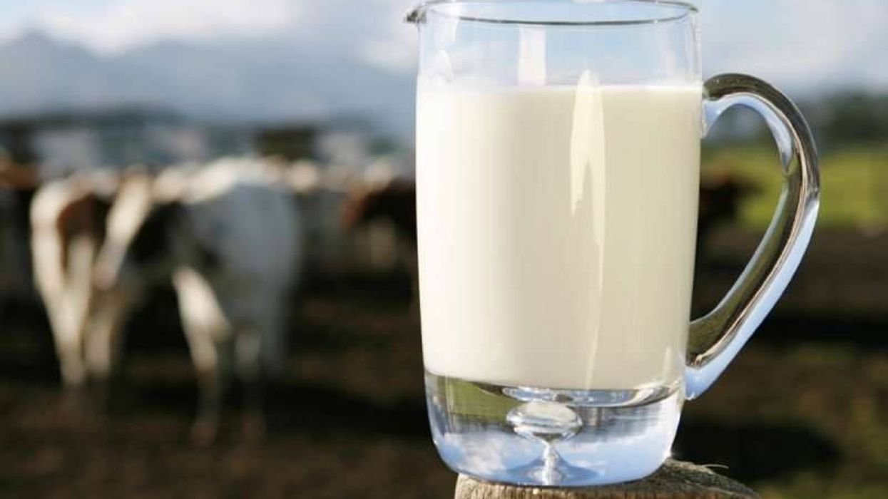 Hapet thirrja publike për mbështetjen e prodhuesve të qumështit në Suharekë Hapet thirrja publike për mbështetjen e prodhuesve të qumështit në Suharekë