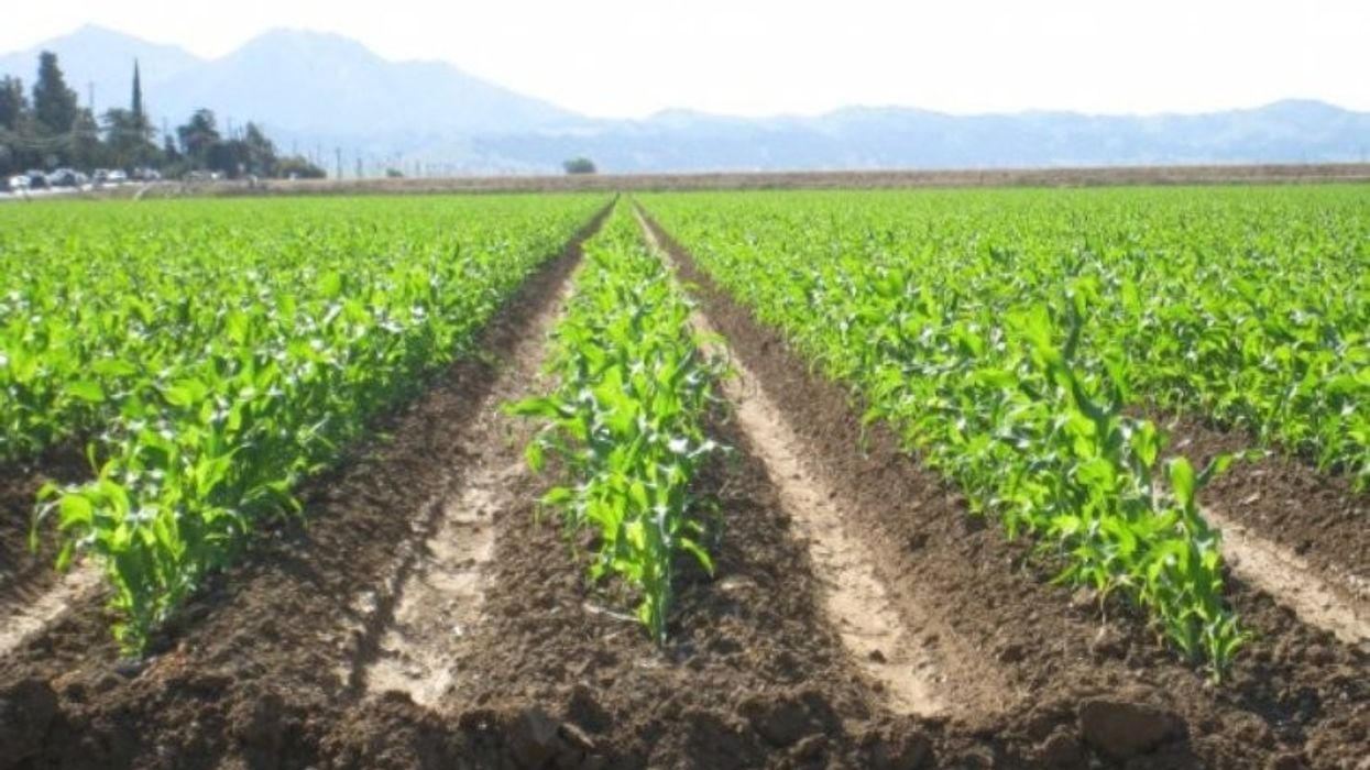 Ministria e Ekonomisë: Miratohen masa për stabilizim të çmimeve të plehrave dhe mbrojtjen e bujqve Ministria e Ekonomisë: Miratohen masa për stabilizim të çmimeve të plehrave dhe mbrojtjen e bujqve