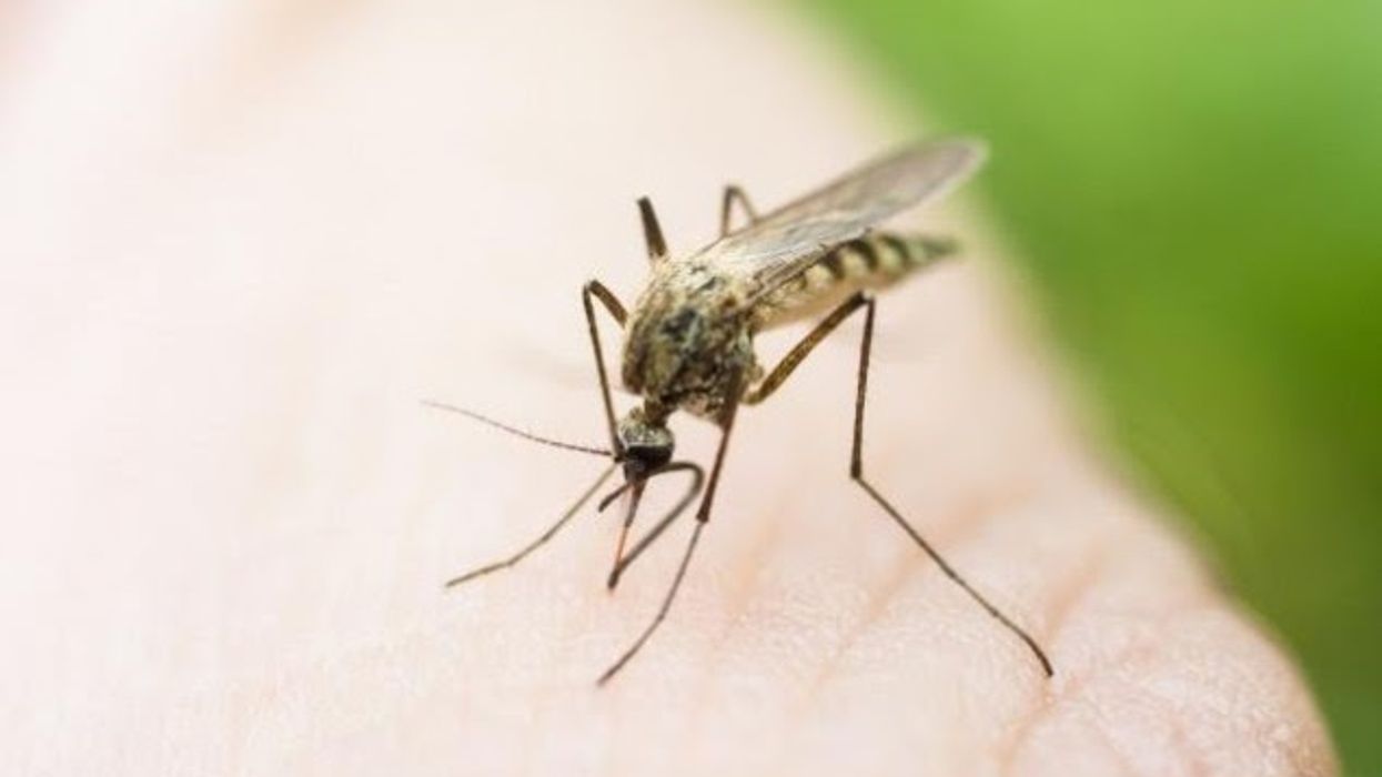 Regjistrohet viktima e katërt nga ethet e Nilit Perëndimor, pacienti për 27 ditë është mjekuar në Klinikën Infektive në Shkup Regjistrohet viktima e katërt nga ethet e Nilit Perëndimor, pacienti për 27 ditë është mjekuar në Klinikën Infektive në Shkup
