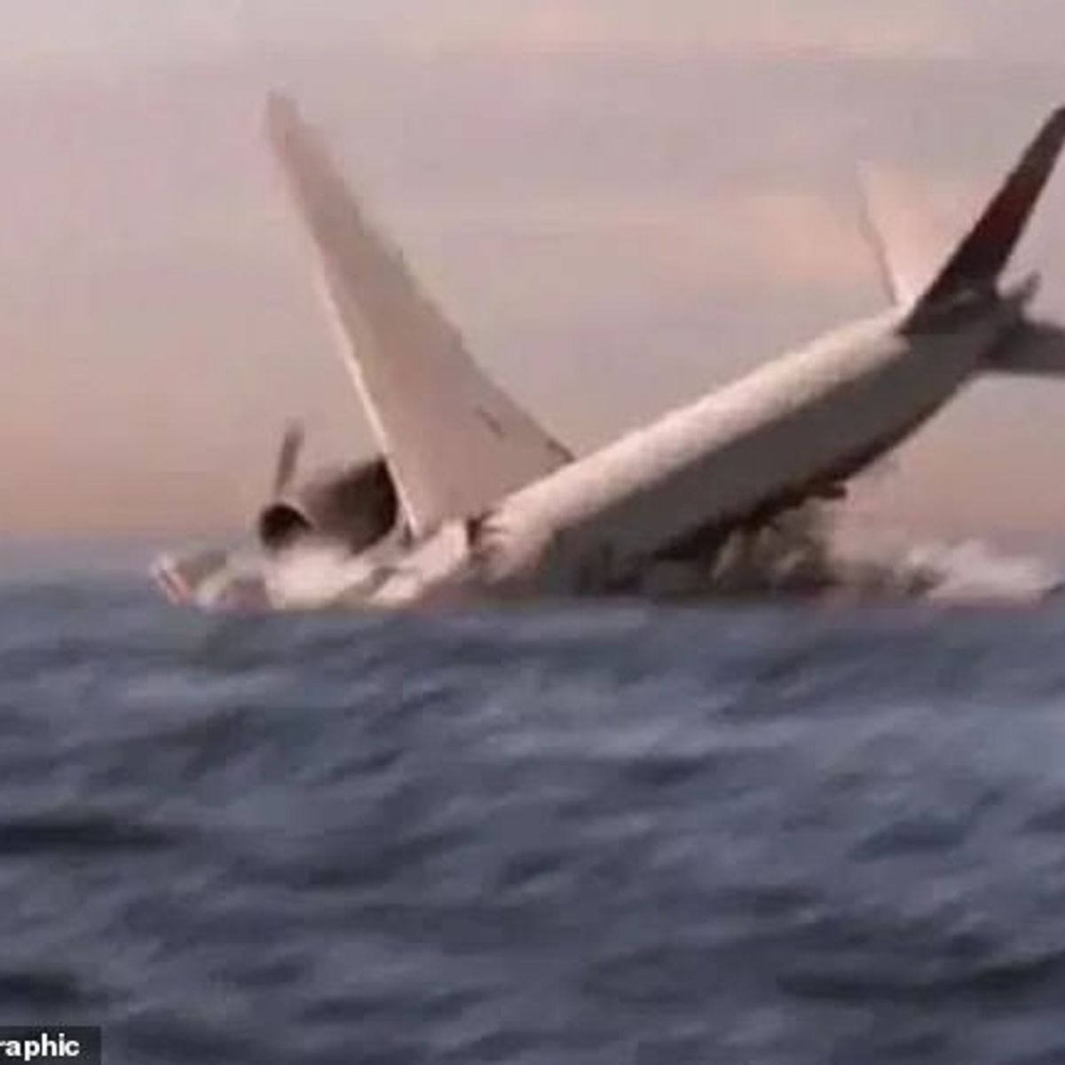 The relatives of the victims of MH370 claim that they found new parts from the missing plane (Photo) - Telegraph