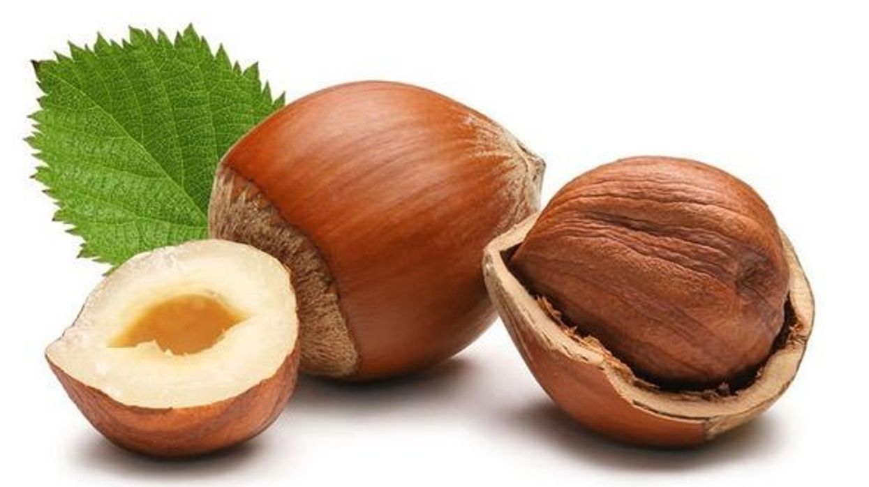 2018/12/hazelnut-diet-health-latest-news-dementia-1056160.jpg