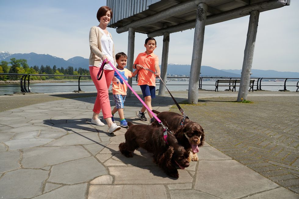 2018 Vancouver Lifestyle Photographer ErichSaide Advertising RCPets Summer StanleyPark Family