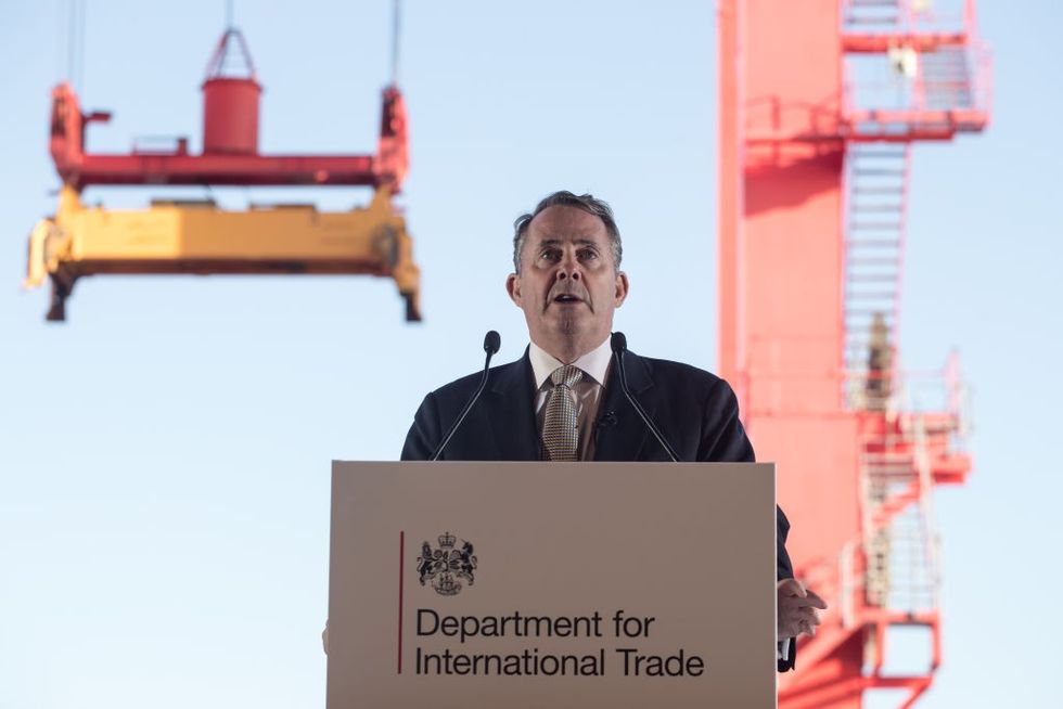 2019/03/liam_fox.jpg