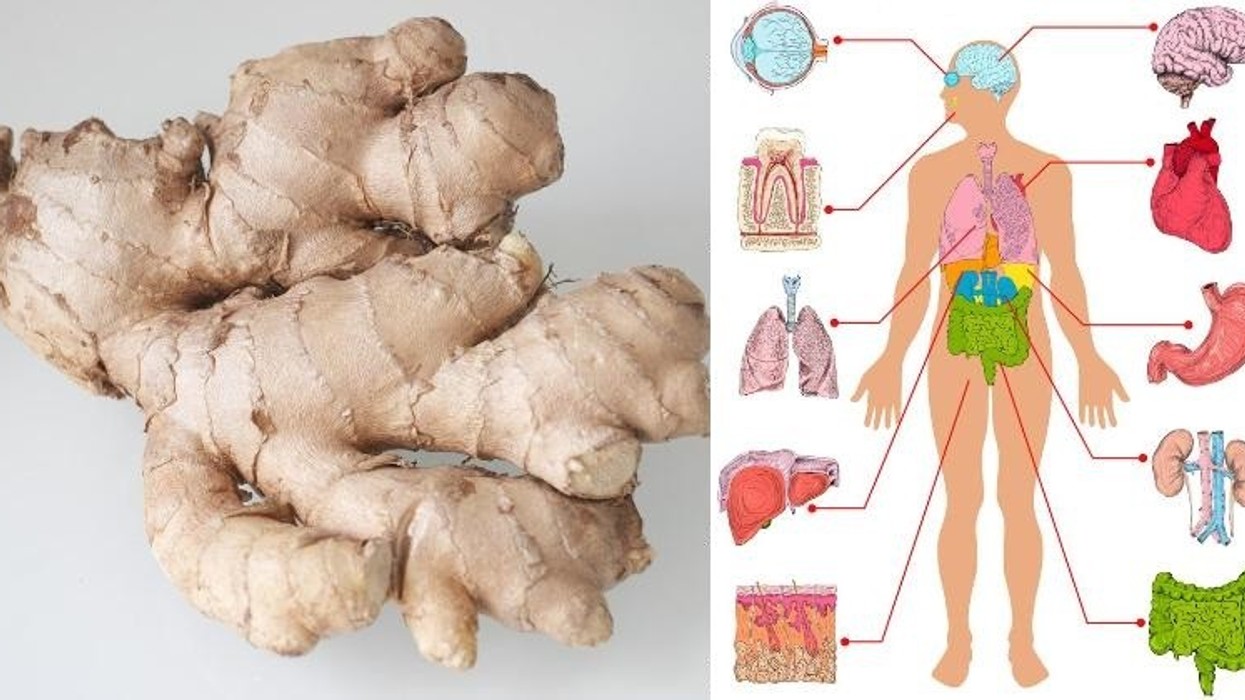 2019/04/consume-ginger-each-day-for-1-month.jpg