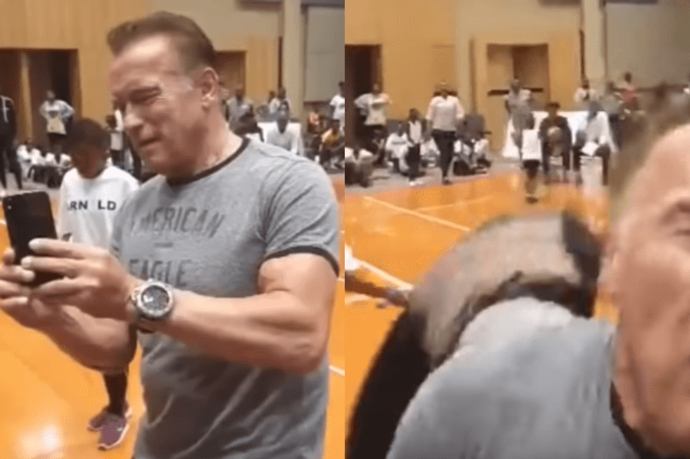 2019/05/arnold-schwarzenegger.png