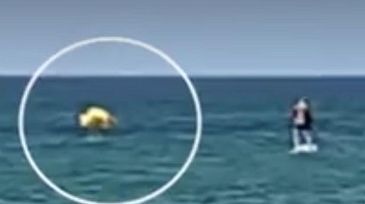 2019/07/0_Video-Captures-Dramatic-Rescue-As-Toddler-Floated-Away-From-Shore-In-Inflatable-Duck-In-Michigan-Cit.jpg