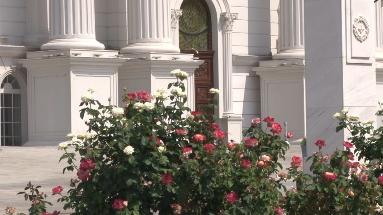 2019/08/qeveria-gjelbrim.jpg