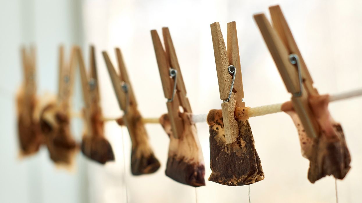 2019/08/Reuse-Tea-Bags-Hacks-i669610114.jpg