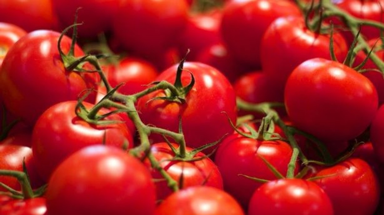 2019/10/0_Close-up-View-Of-Tomatoes.jpg